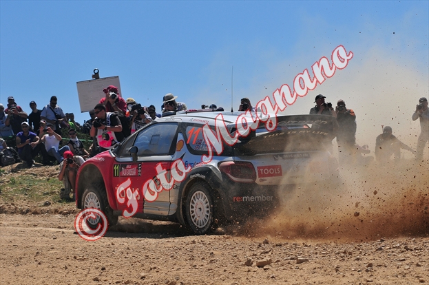 DSC_7782.jpg